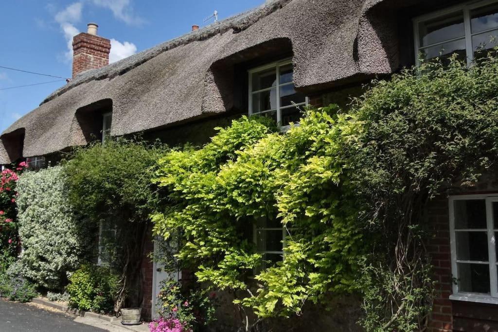 Little Thatch Cottage - Cerne Abbas, Dorset Extérieur photo